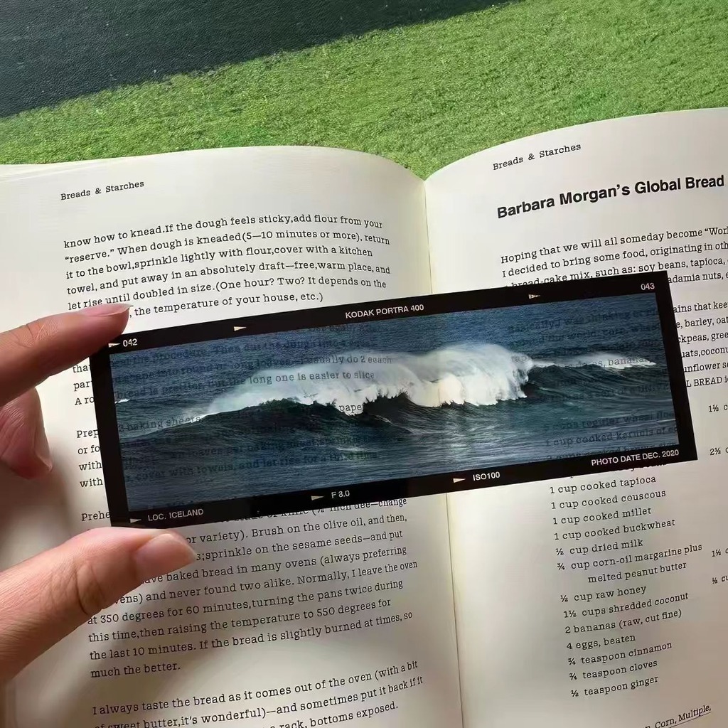 Segnalibro in acrilico con tem - Dried Flower Bookmark recensione e prezzo